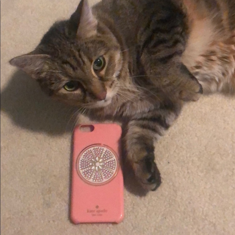 Kate spade iPhone case